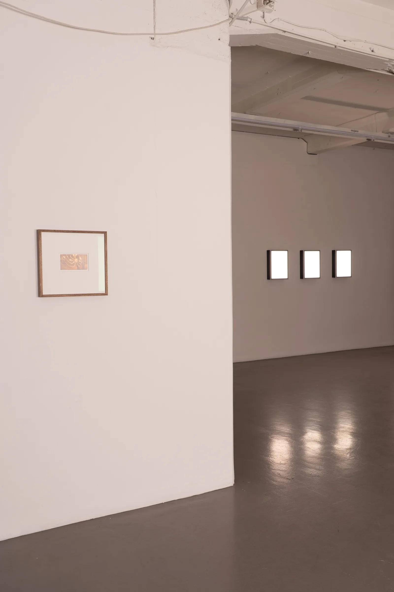 The Human Orchid: BLOOM - Lena Bergendahl at Platform Stockholm, photo by lou mouw