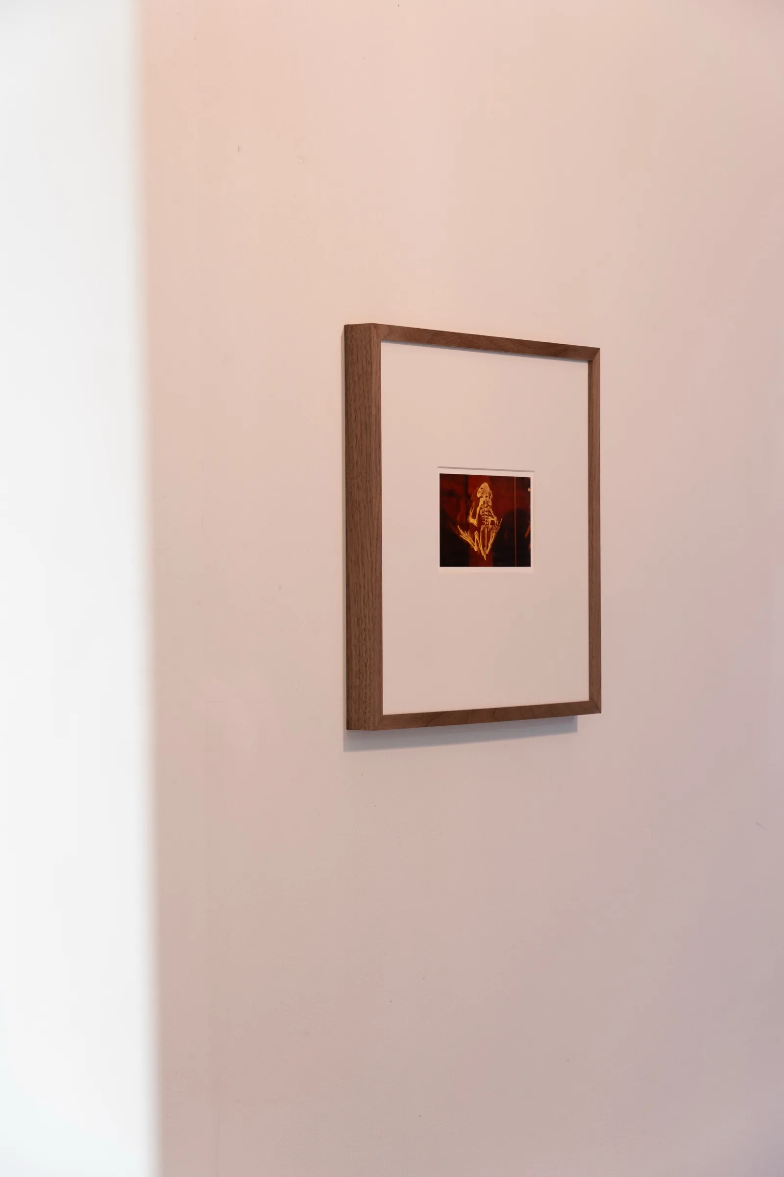 The Human Orchid: BLOOM - Lena Bergendahl at Platform Stockholm, photo by lou mouw