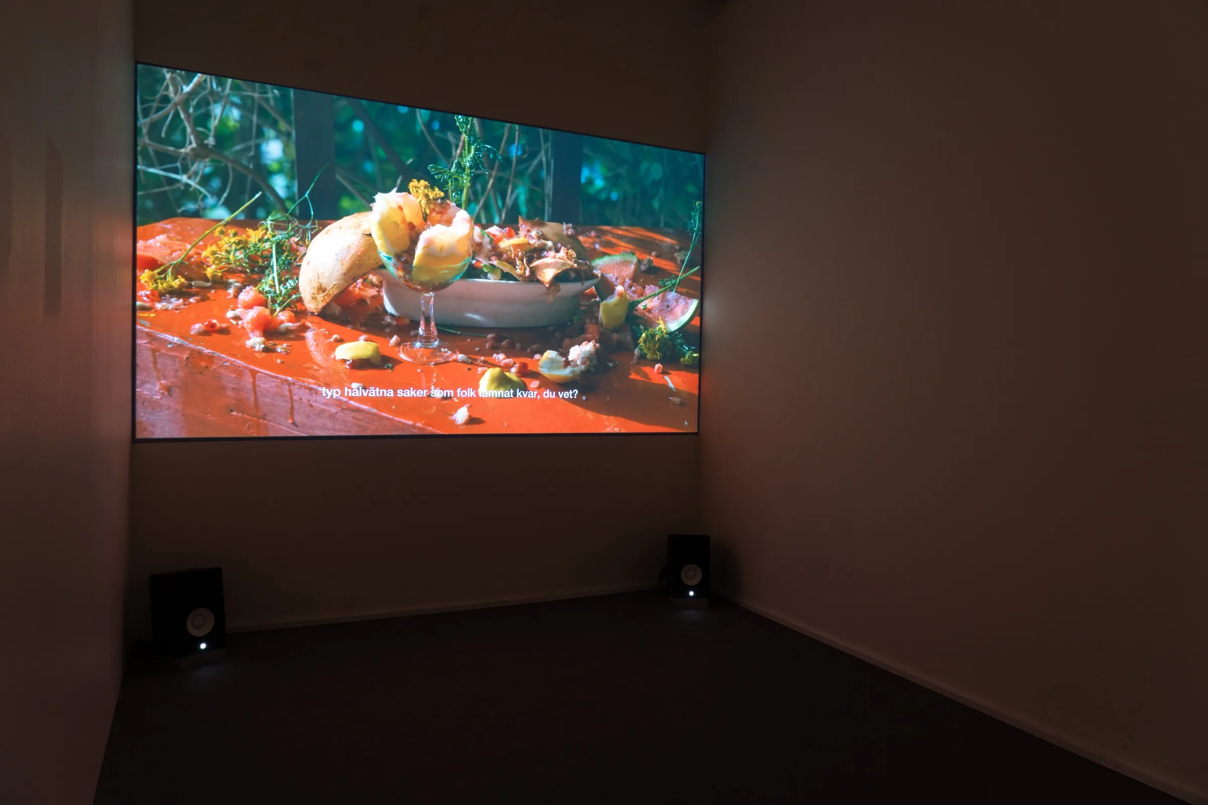 The Human Orchid: BLOOM - Lena Bergendahl at Platform Stockholm, photo by lou mouw