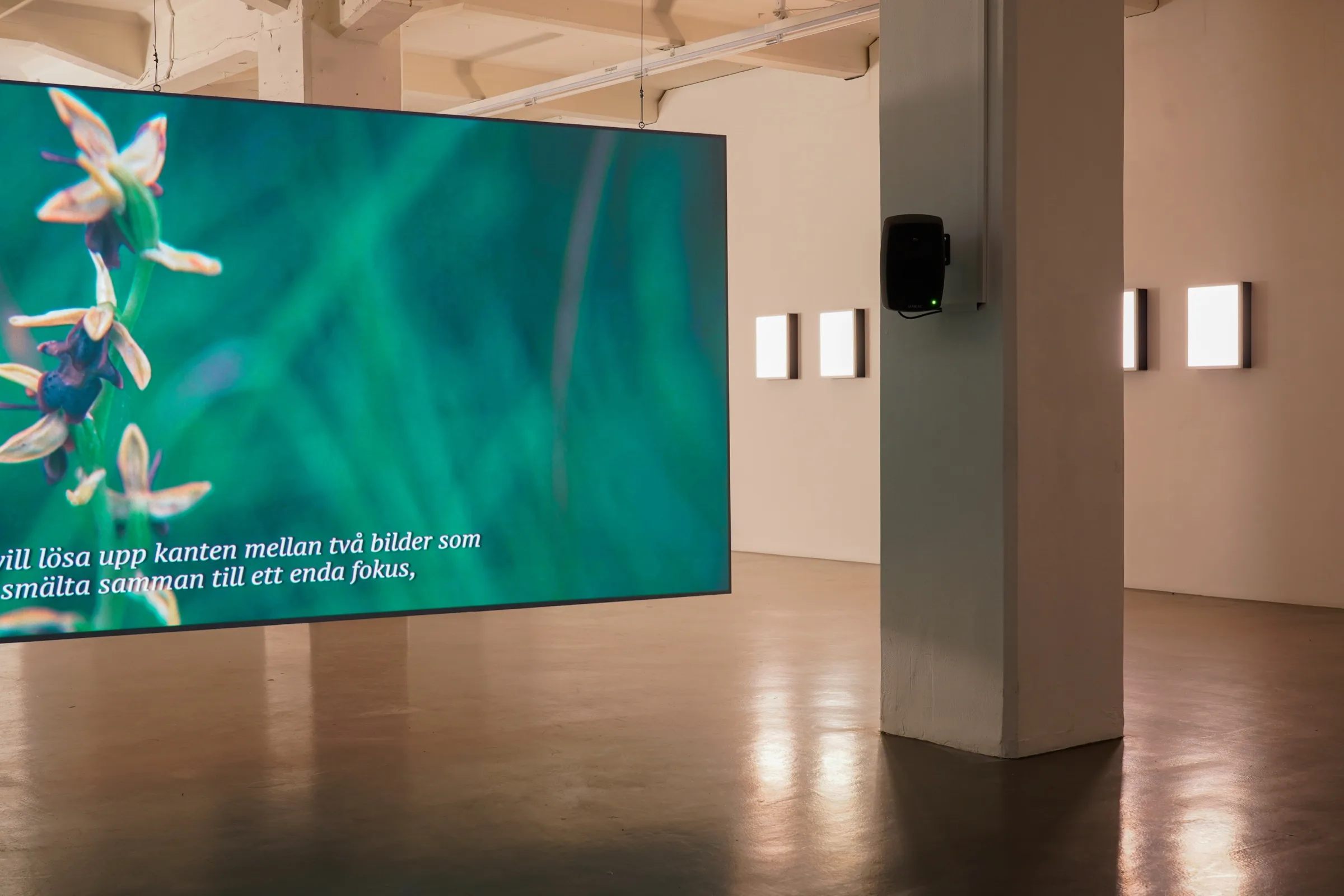 The Human Orchid: BLOOM - Lena Bergendahl at Platform Stockholm, photo by lou mouw
