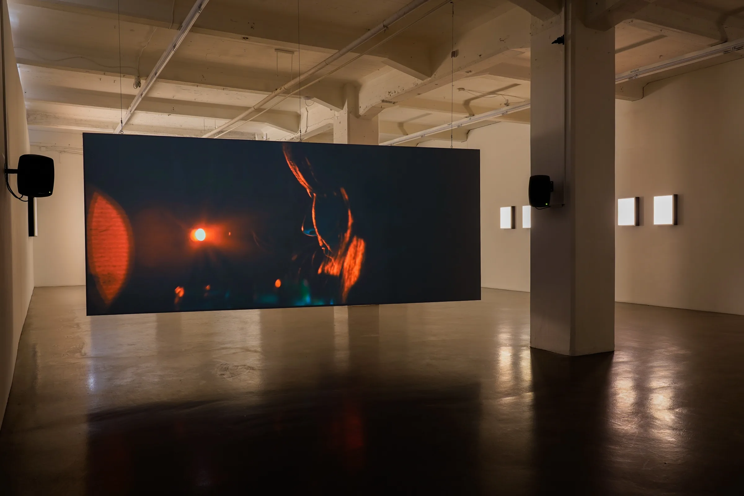 The Human Orchid: BLOOM - Lena Bergendahl at Platform Stockholm, photo by lou mouw