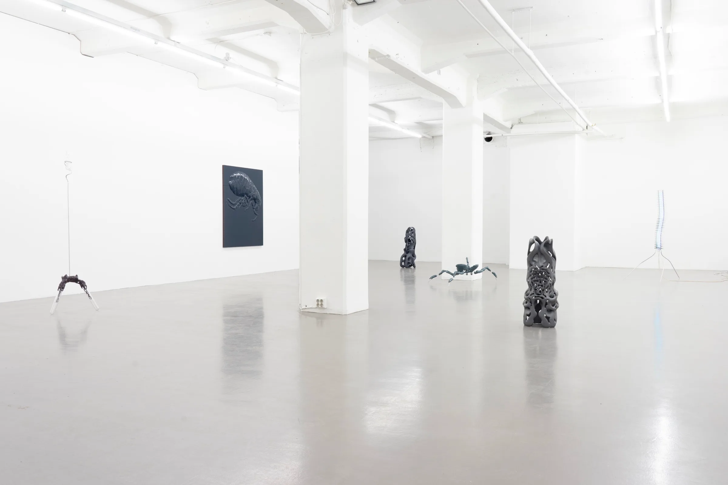 Miasma Protoplasma - Linda Morell at Platform Stockholm, photo by lou mouw
