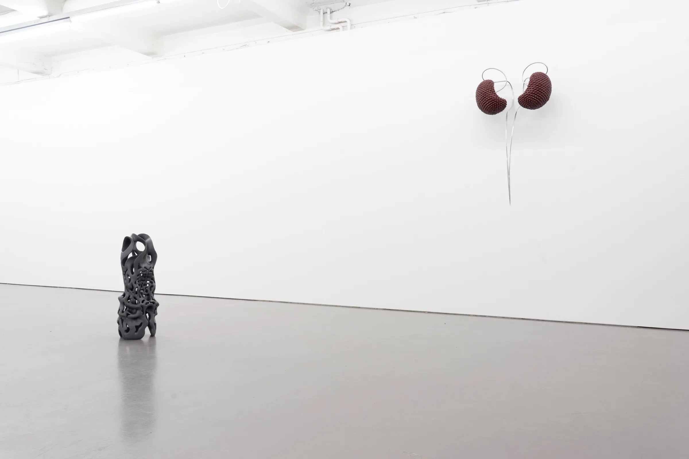 Miasma Protoplasma - Linda Morell at Platform Stockholm, photo by lou mouw