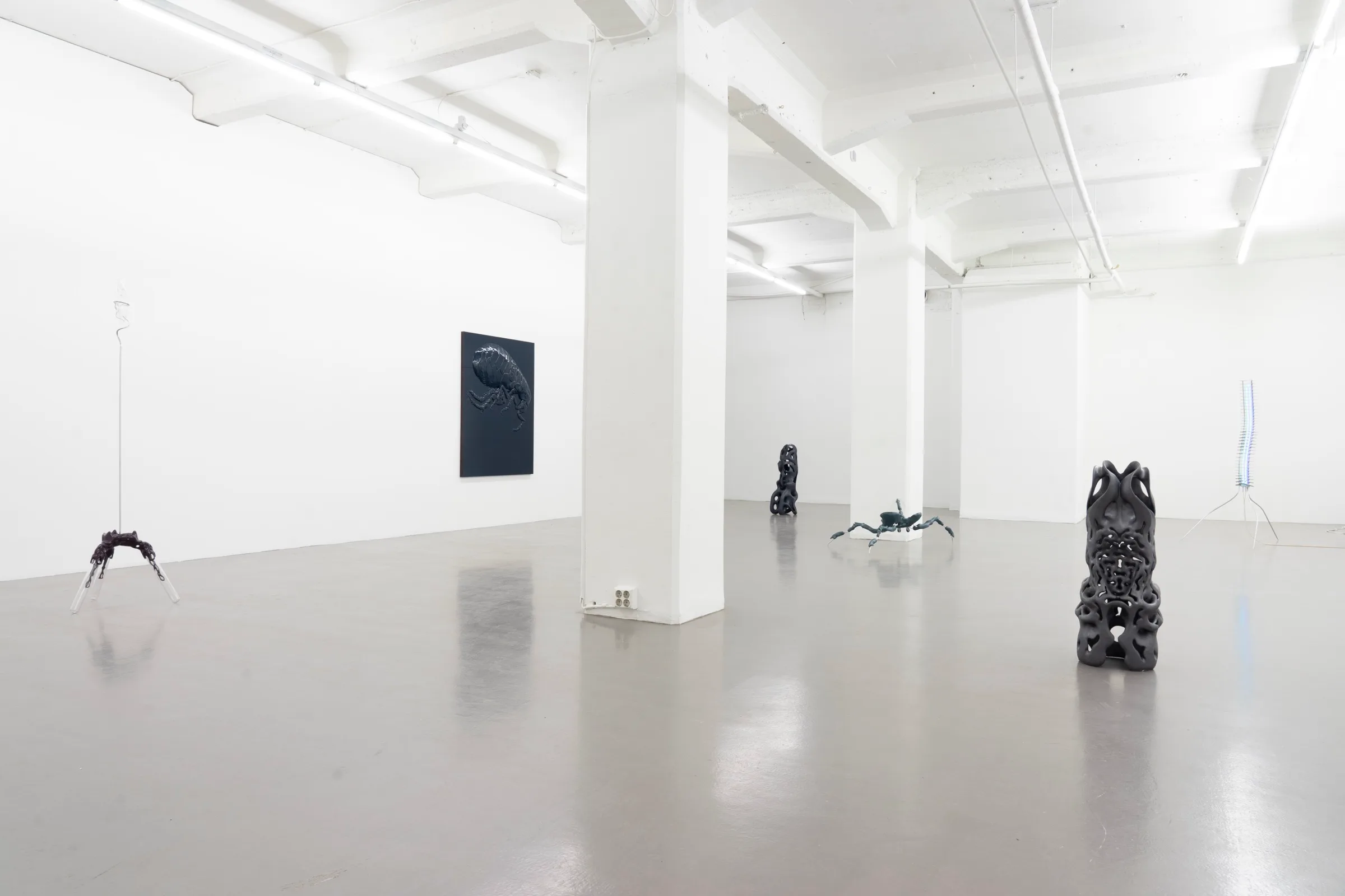 Miasma Protoplasma - Linda Morell at Platform Stockholm, photo by lou mouw