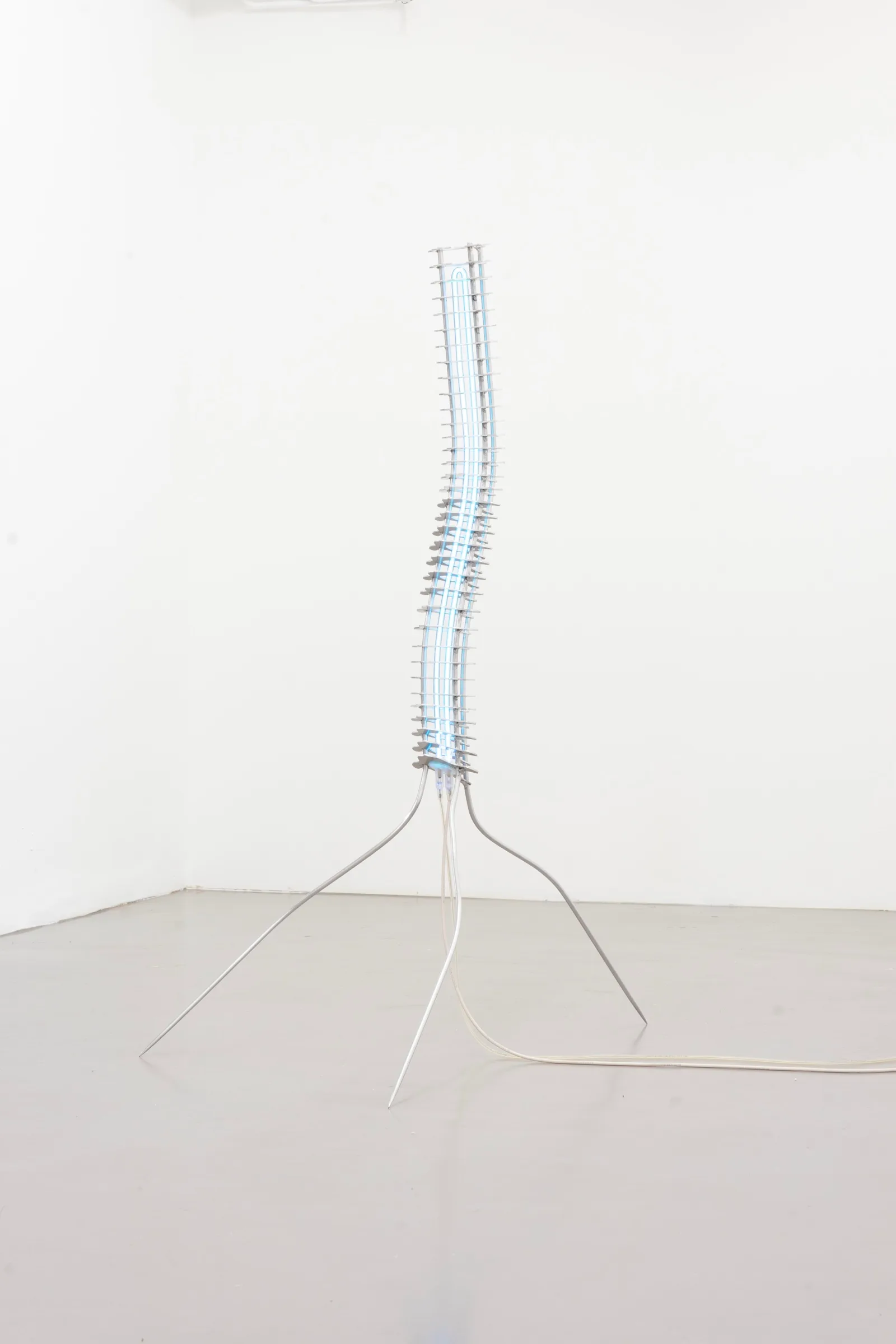 Miasma Protoplasma - Linda Morell at Platform Stockholm, photo by lou mouw