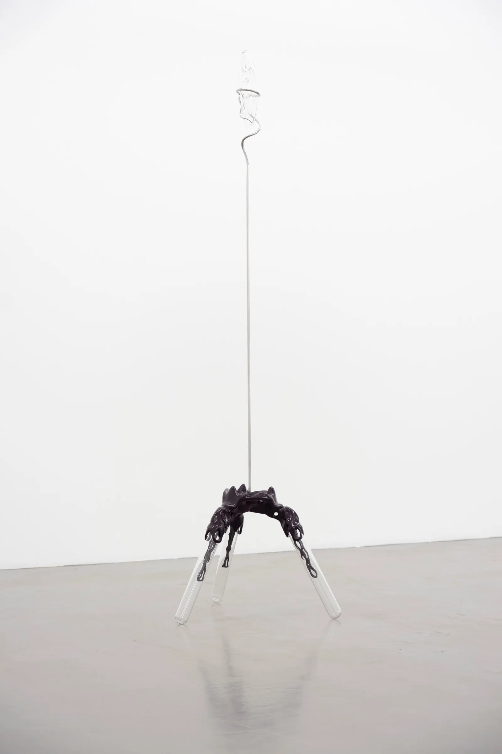 Miasma Protoplasma - Linda Morell at Platform Stockholm, photo by lou mouw