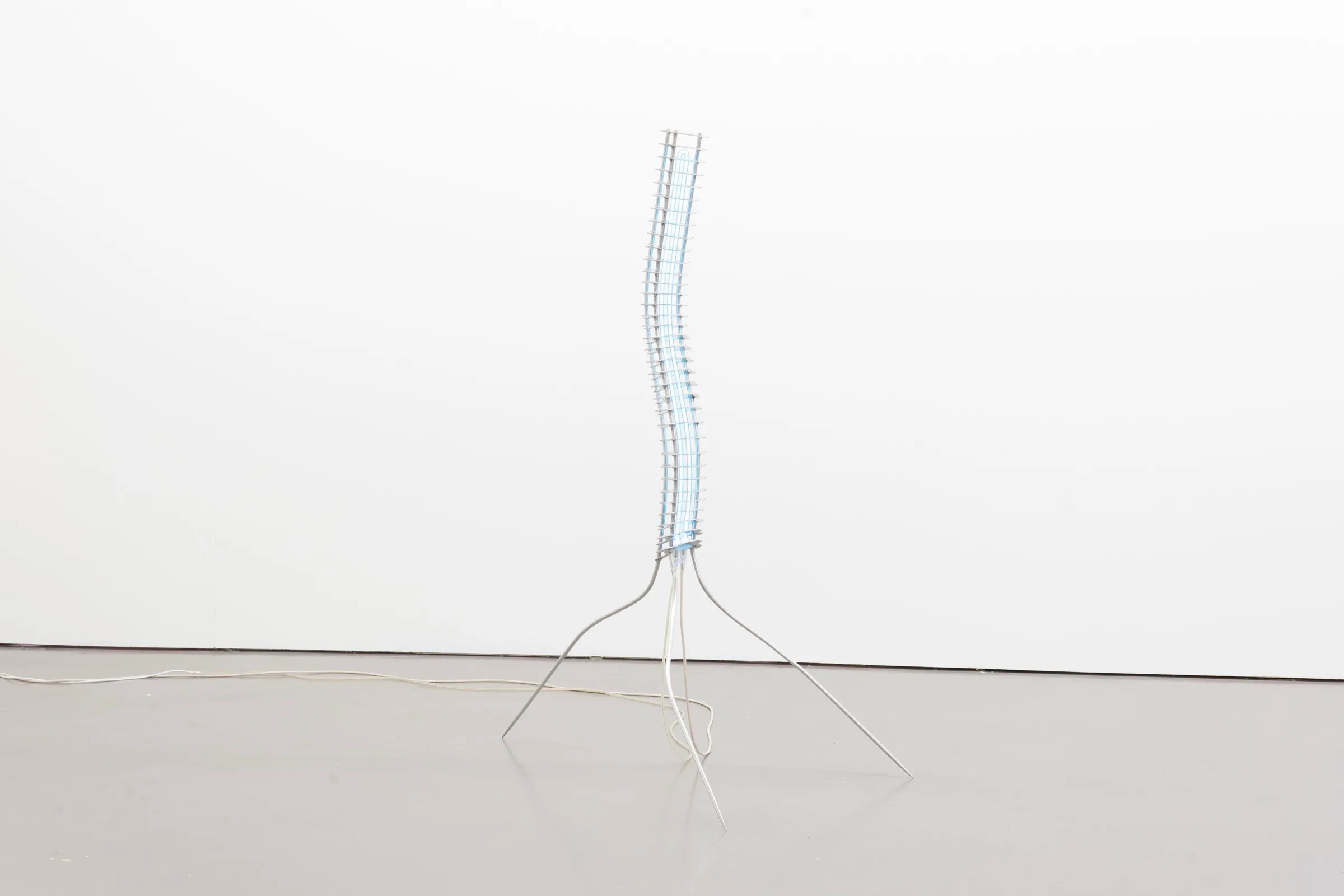 Miasma Protoplasma - Linda Morell at Platform Stockholm, photo by lou mouw