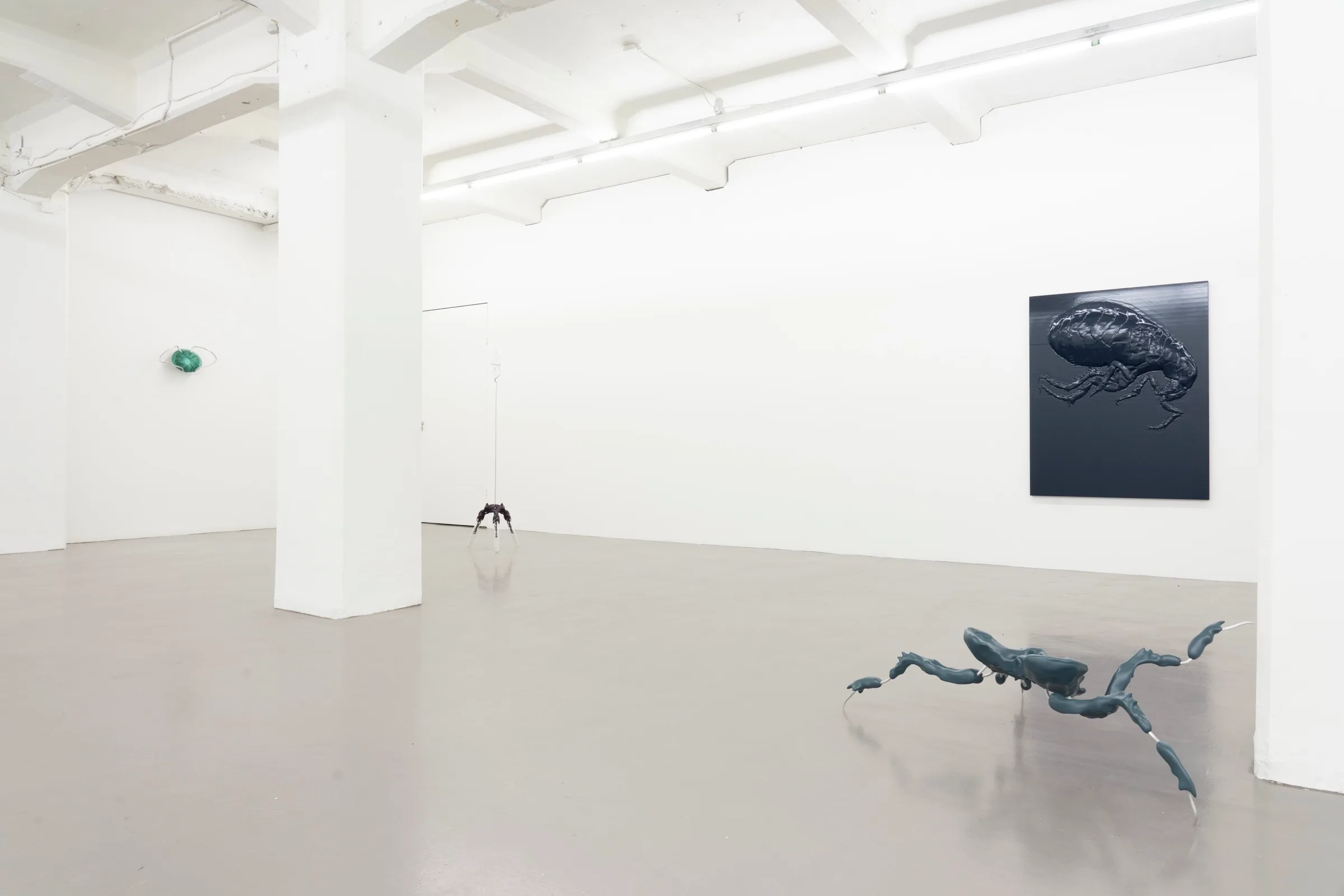 Miasma Protoplasma - Linda Morell at Platform Stockholm, photo by lou mouw